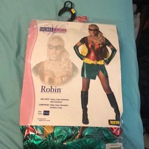 Robin Costume